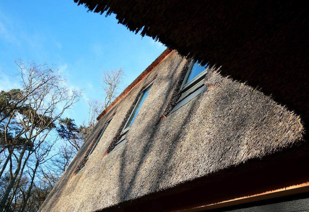 Loft 49 Bed and Breakfast Bergen Esterno foto